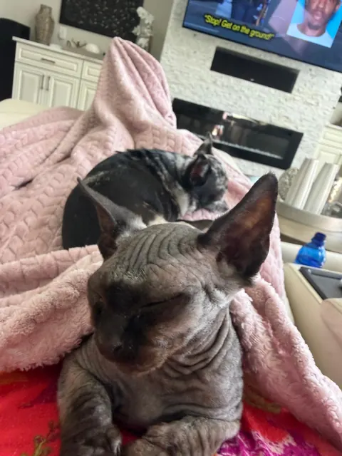 Snuggled up for the evening